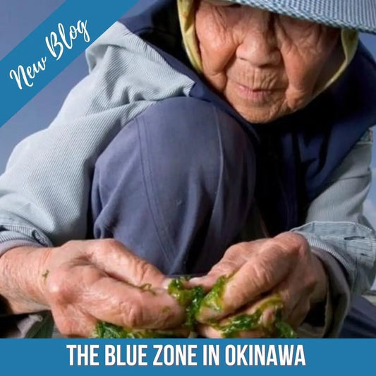 THE BLUE ZONE IN OKINAWA - Hawaiian South Shore