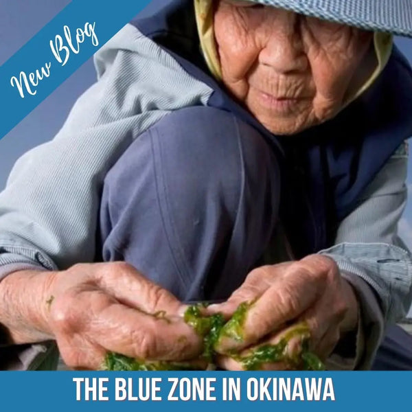 THE BLUE ZONE IN OKINAWA