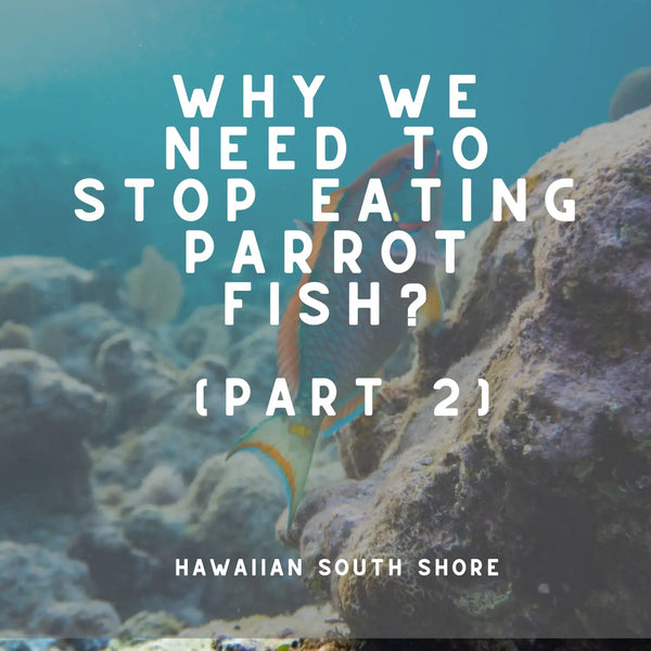 Why We Need to Stop Eating Parrot Fish? (Part 2)