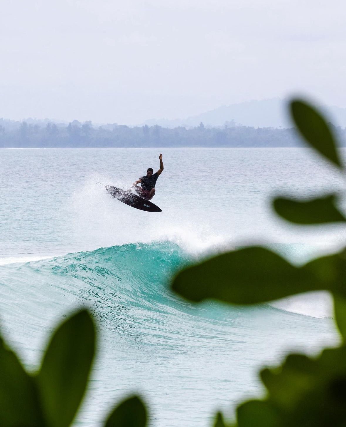 Album Bom Dia Quad - Apex (For Online Purchase Only) - Must - Have for Surfers