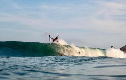 Album Quad - Apex (For Online Purchase Only) - Must - Have for Surfers