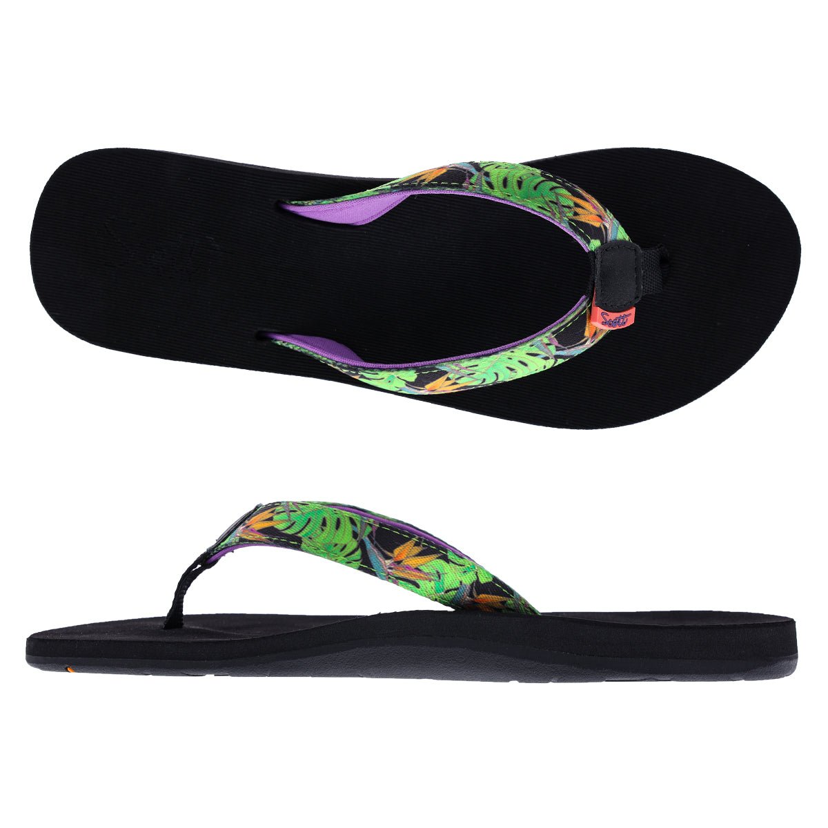 ALEALEA (No. 6105) - Shells, Seashore and More (For Online Purchase Only) - Must - Have for Surfers