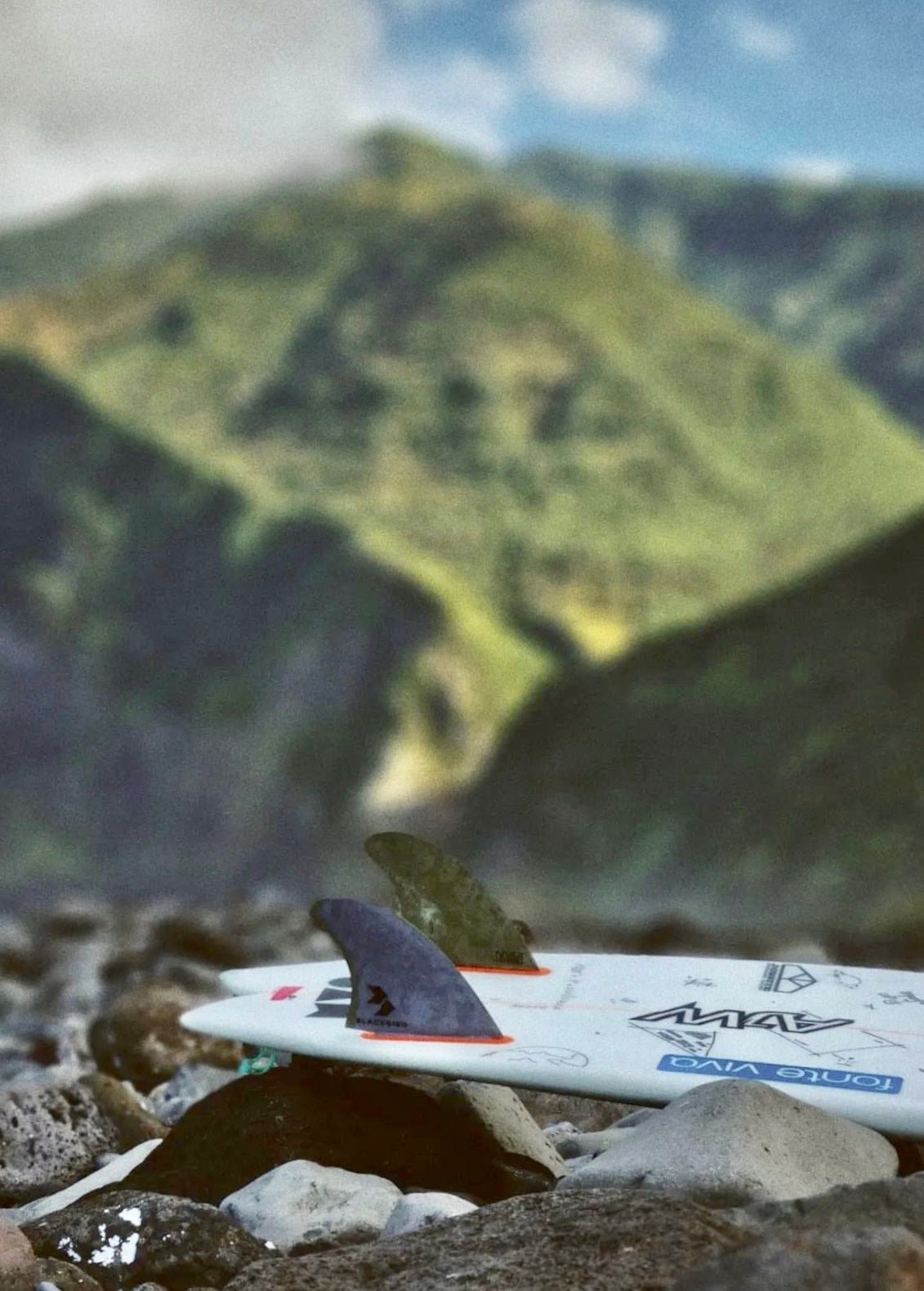 Blackbird RAF Keel - Apex (For Online Purchase Only) - Must - Have for Surfers