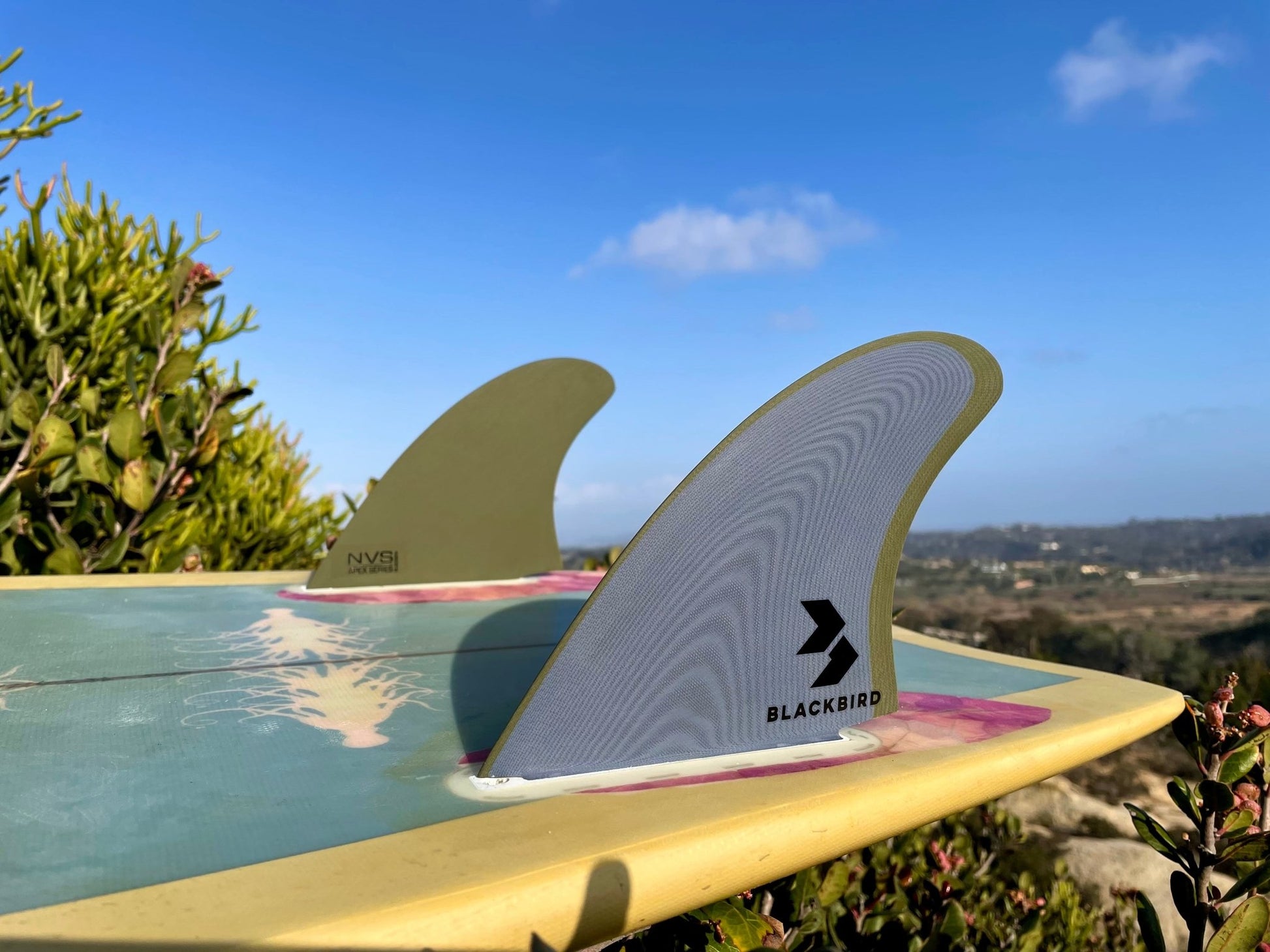Blackbird RAF Keel - Apex (For Online Purchase Only) - Must - Have for Surfers