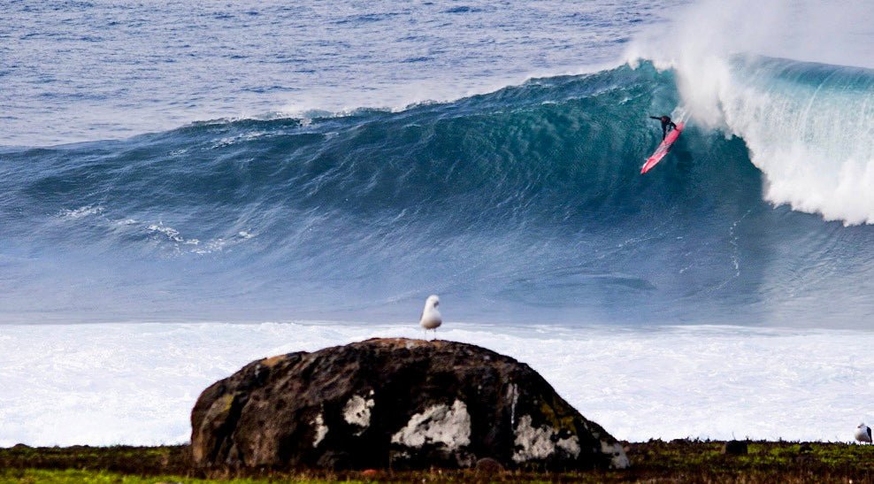 Bronn Quad (M) - Apex (For Online Purchase Only) - Must - Have for Surfers