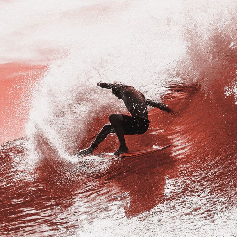 FCS II THRUSTER Sharpeye PC Carbon (Medium - Large) Black White - Must - Have for Surfers