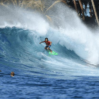 Fish 101 (Grom, S) - Apex (For Online Purchase Only) - Must - Have for Surfers