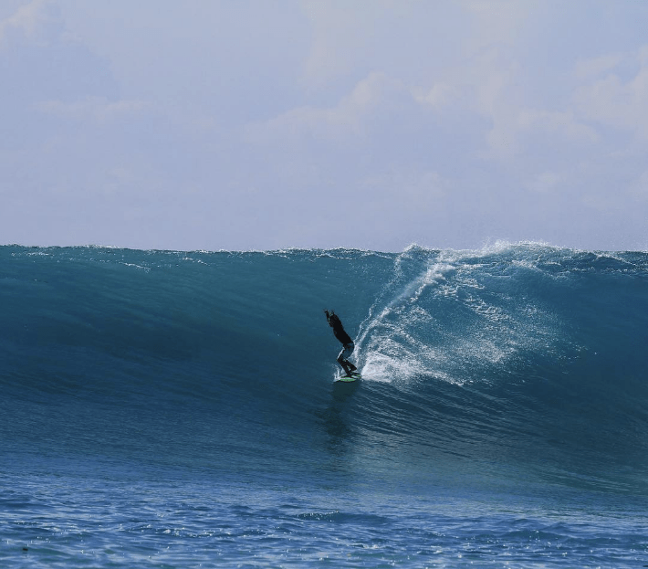 Fish 101 (Grom, S) - Apex (For Online Purchase Only) - Must - Have for Surfers