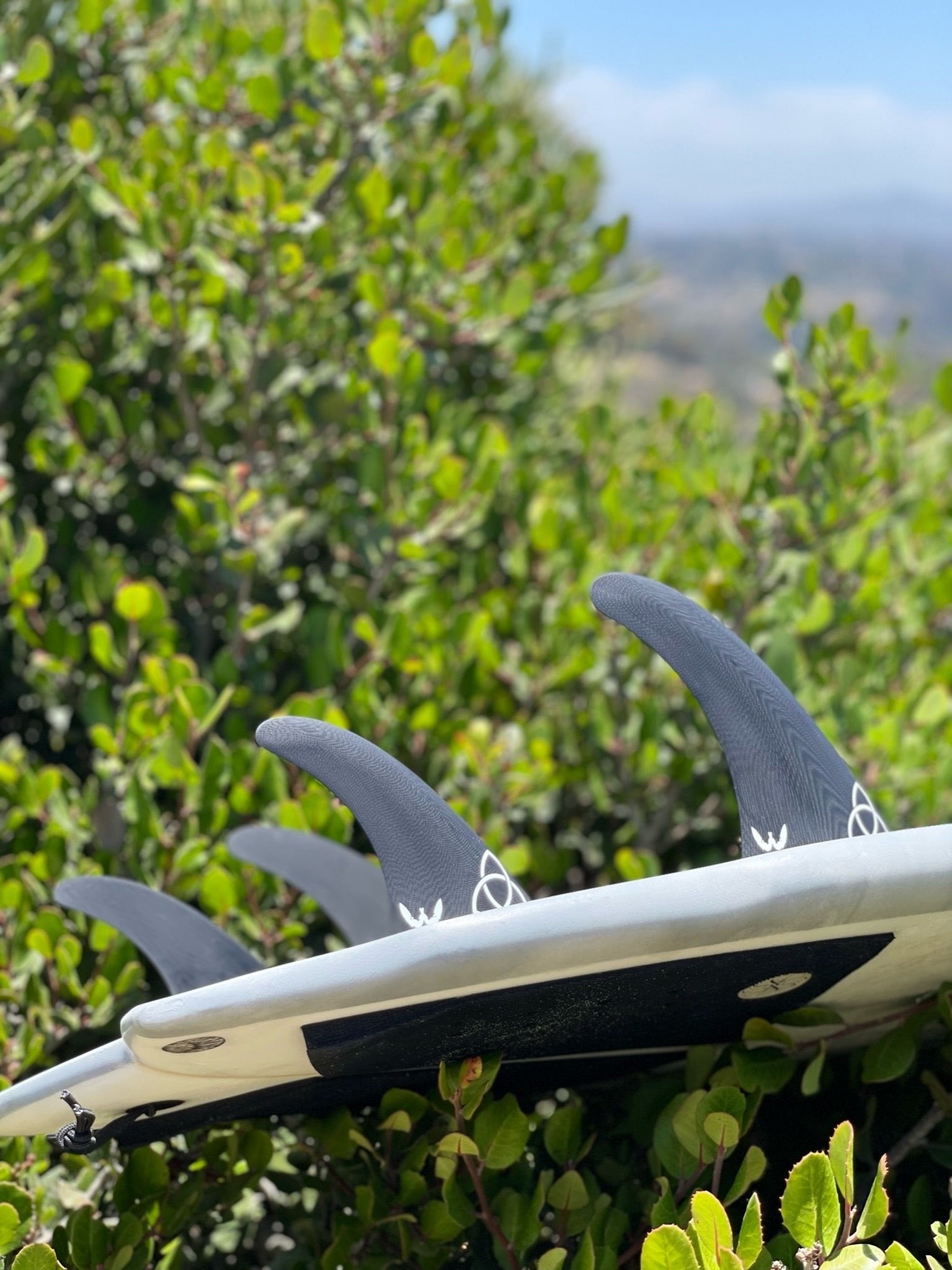 Greg Webber Extractor Quad - Apex (For Online Purchase Only) - Must - Have for Surfers