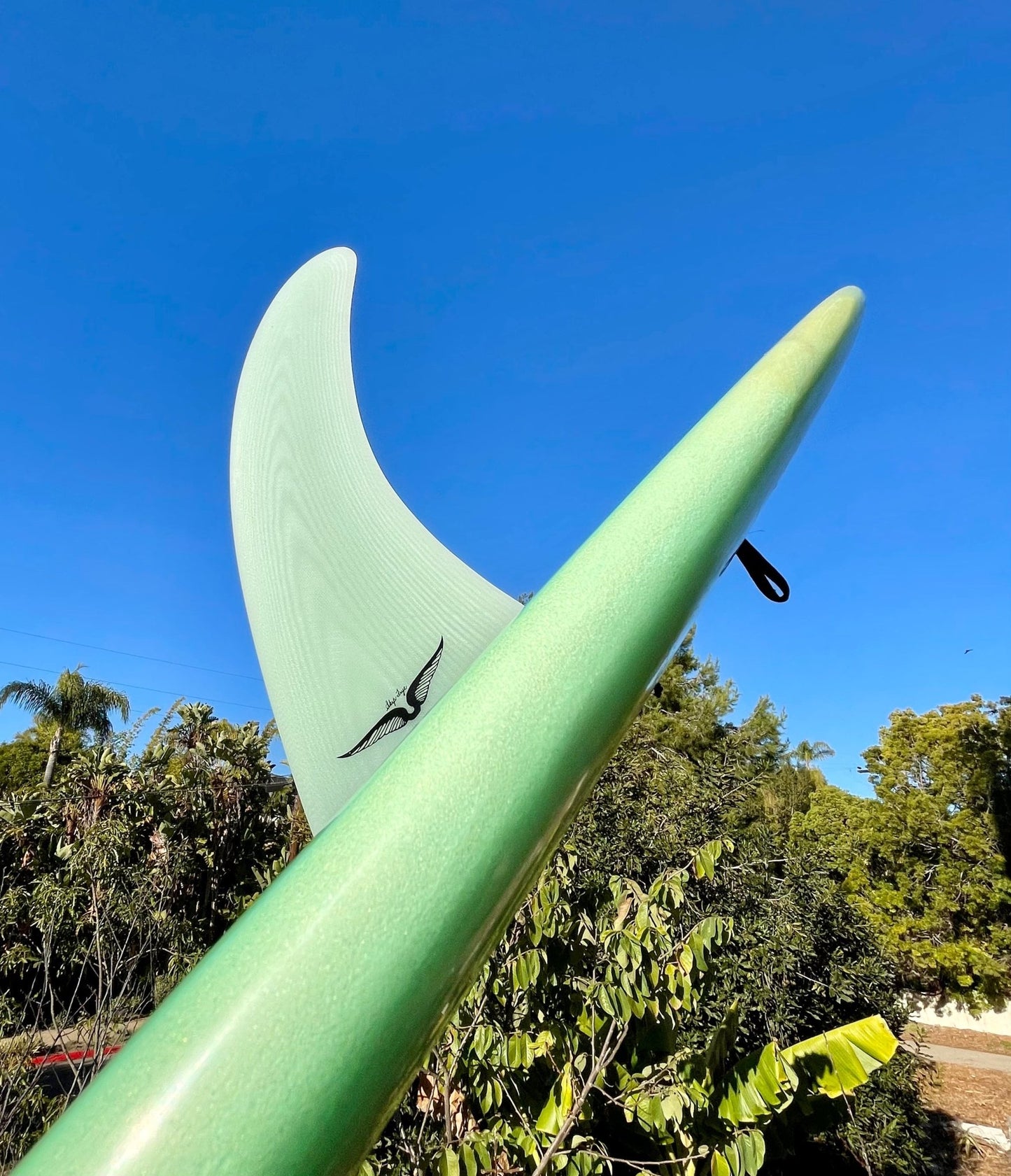 Skip Frye (6.5" - 9.25") - Apex (For Online Purchase Only) - Must - Have for Surfers