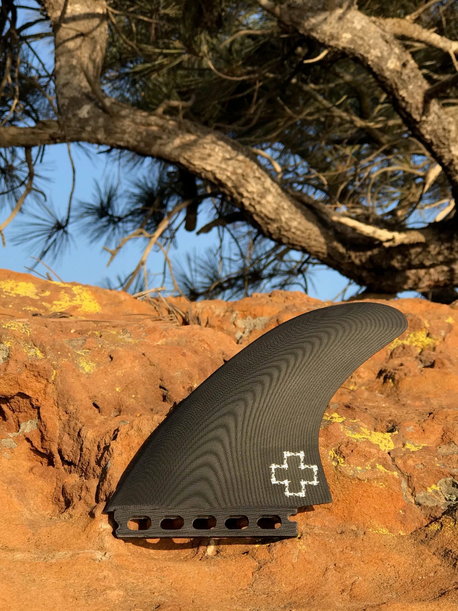 Surf Prescriptions Tallboy Twin - Apex (For Online Purchase Only) - Must - Have for Surfers